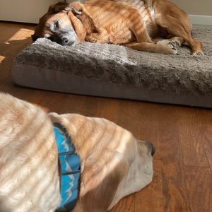 Meet your Posher, Leslie